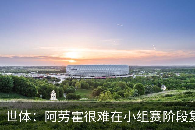 世体：阿劳霍很难在小组赛阶段复出，基本无缘出战西班牙